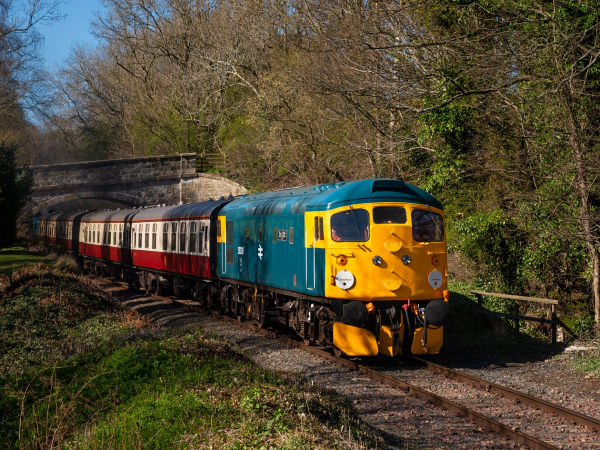 Diesel Gala