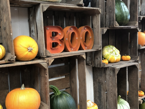 Day Passes and Events