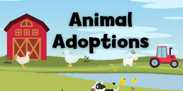 Annual Animal Adoptions