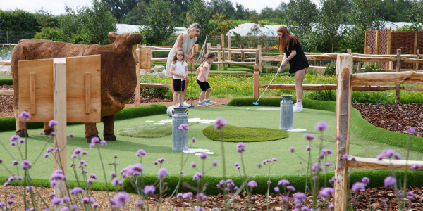 Millets Farmyard Golf