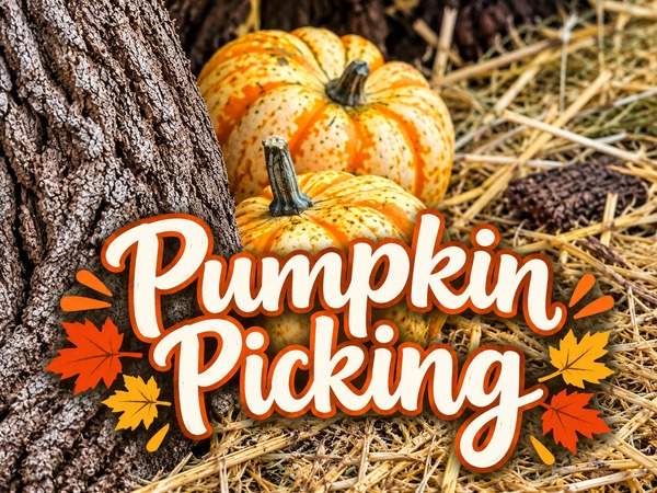 Pumpkin Picking