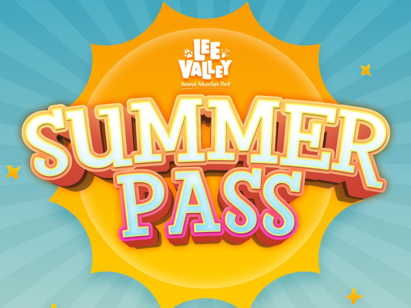 Summer Pass