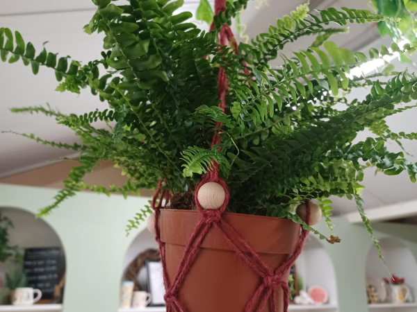 Macrame Plant Hangers at Yarnton 28th August