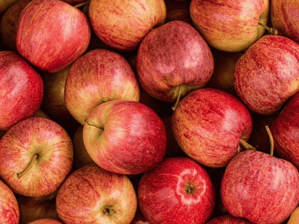 Apple Juicing Service