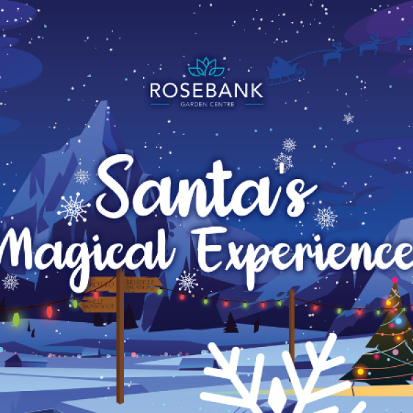 Santa's Magical Grotto