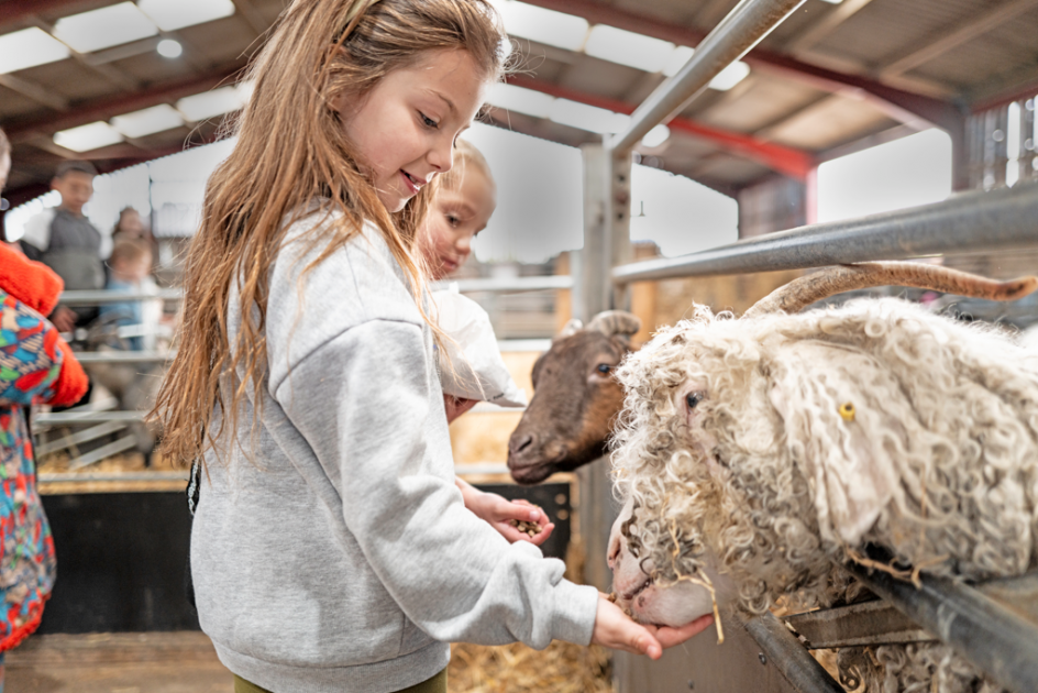 Buy Scouts & Girl Guiding Weekend Tickets online Mead Open Farm