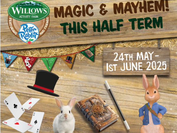Magic and Mayhem Half Term Fun (24th May - 1st June)