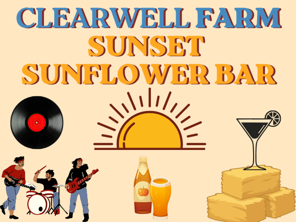 The Sunset Sunflower Bar 