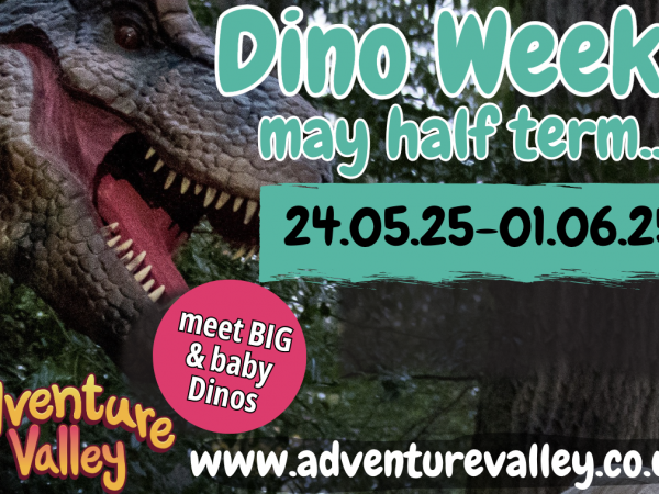 Dino Week! (May half term 2025) 24.5.25-1.6.25