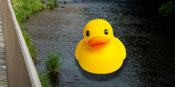 New Lanark Duck Race