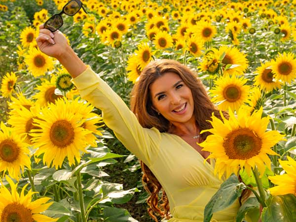 Phase 1 - Open Dated - Sunflower Festival 2024