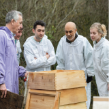 Beekeeping Course - The guide to back garden Beekeeping