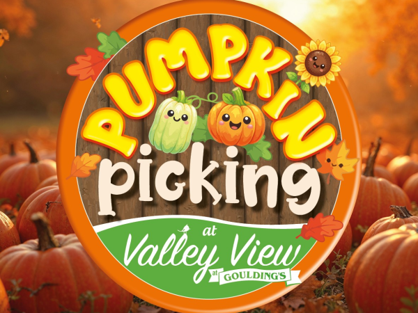 Pumpkin Picking