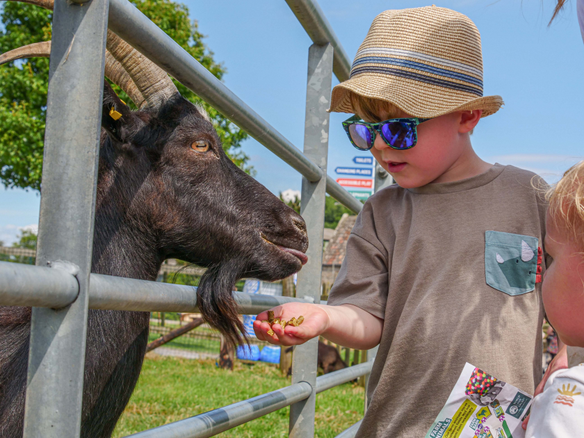 Buy Memberships Tickets online - Noah's Ark Zoo Farm