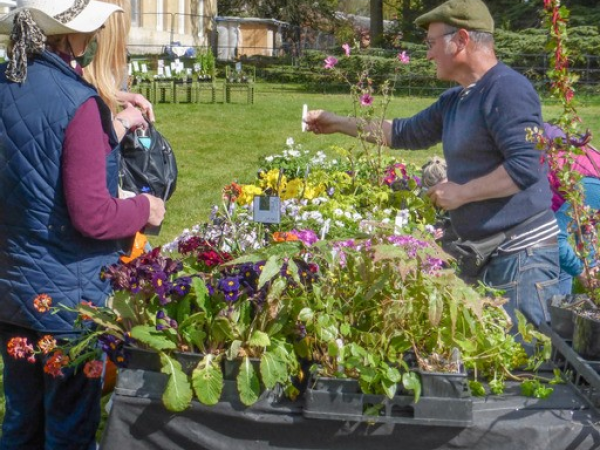 Specialist Plant Fair 2024