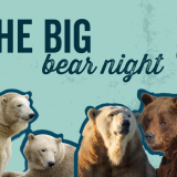 The Big Bear Night