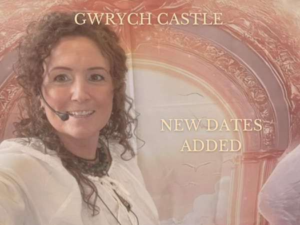 An Evening with Earth Angel