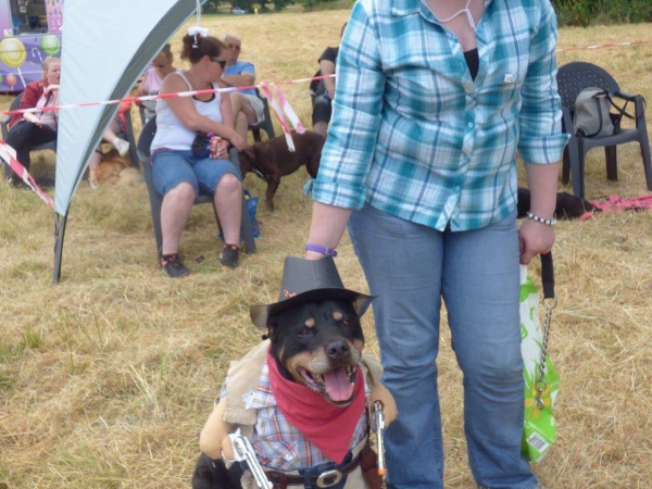 Fun Dog Show