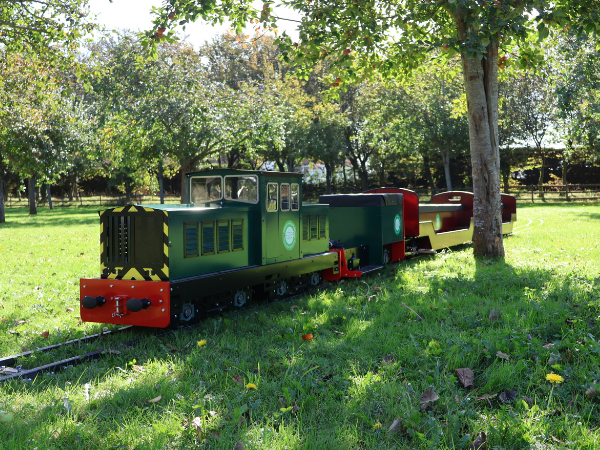 The Magical Meadow Express
