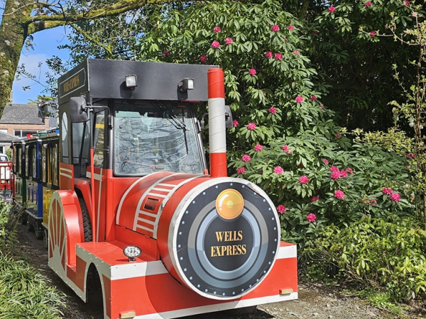 Fairy Hunt Fairytale Train Rides
