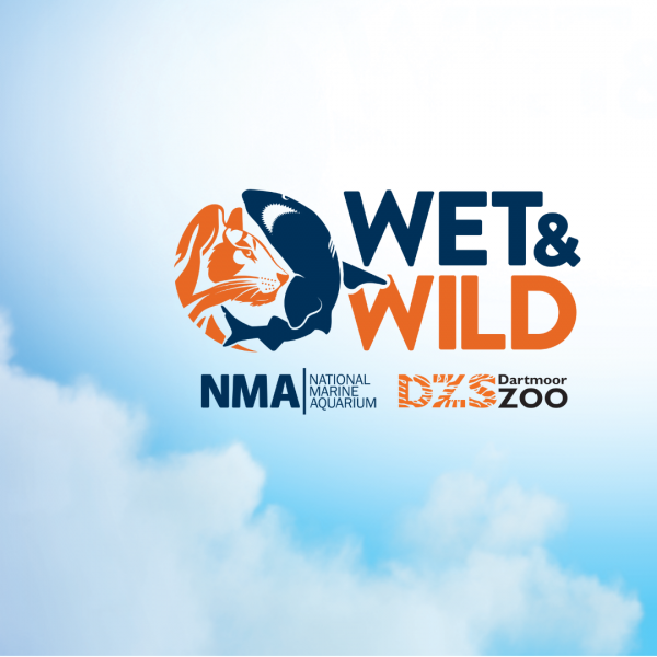 Wet & Wild