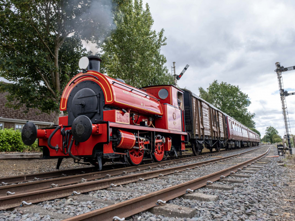Grownup for a Quid Steam Train Rides and Accessibility & Wheelchair Compartment; Sunday 4th October.
