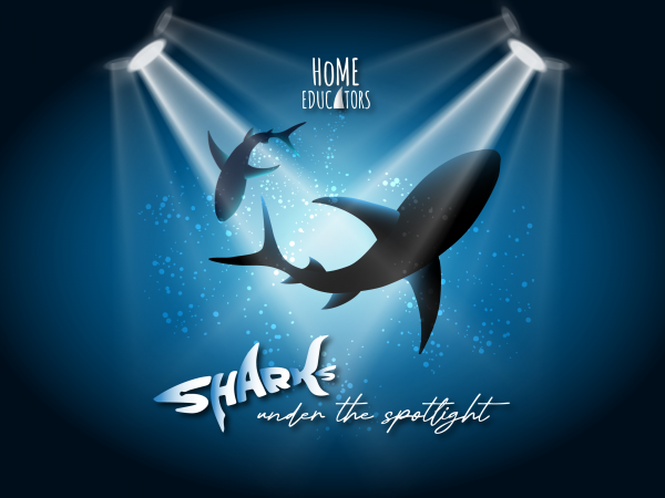 Home Educators' Day - 11th March 2026