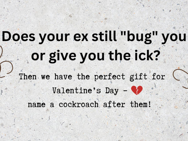 Name a cockroach 2026