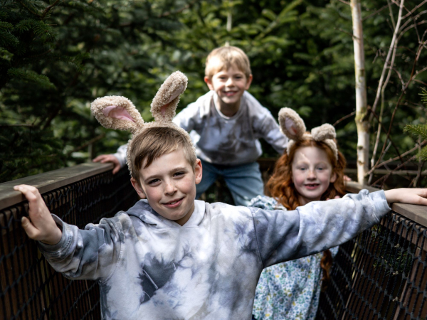 Family Explorer Ticket