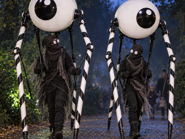 The Playful Park of Peculiar