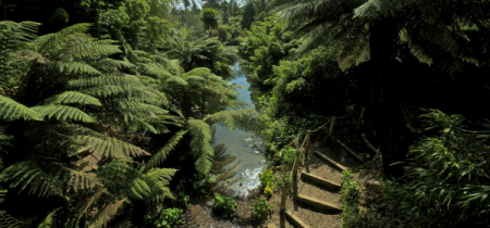 Garden landscape