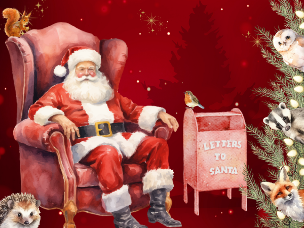 Santa with a post box next to him with animals looking at him