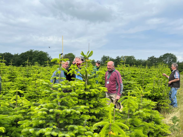 Summer Open Days