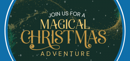 Magical Christmas at Amerton Farm