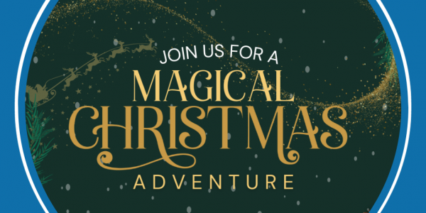 Magical Christmas at Amerton Farm