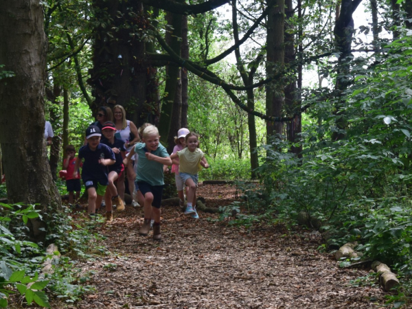 Woodland Wanderers Adventure Time