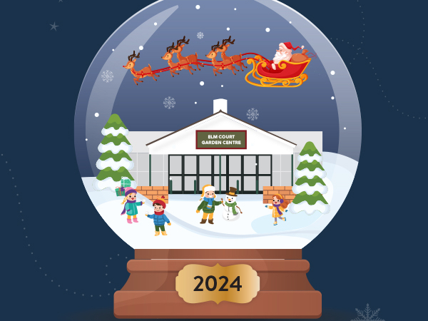 Santa's Grotto 2024