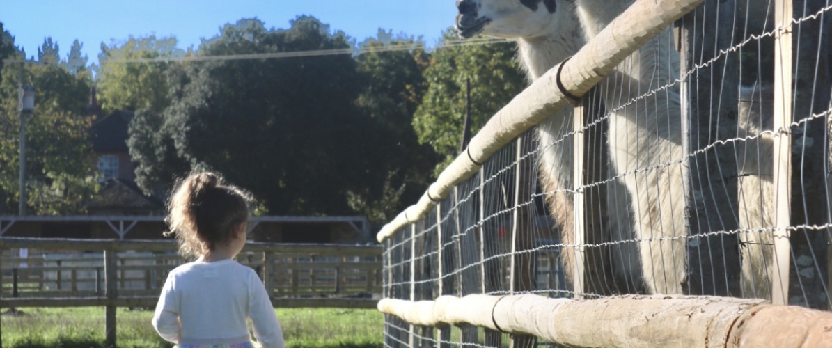Farm Admission!