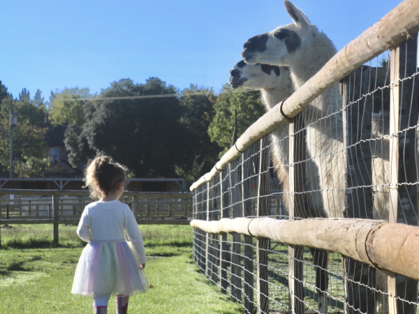 Farm Admission!