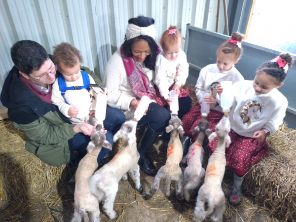 VIP Lambing Experience