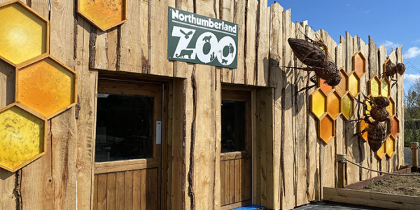 Buy Zoo Events Tickets online - Northumberland Zoo