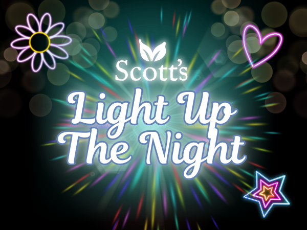 Light Up The Night