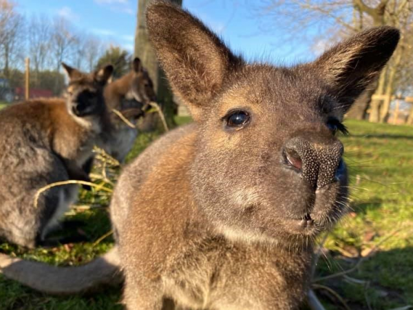 Admission and Events