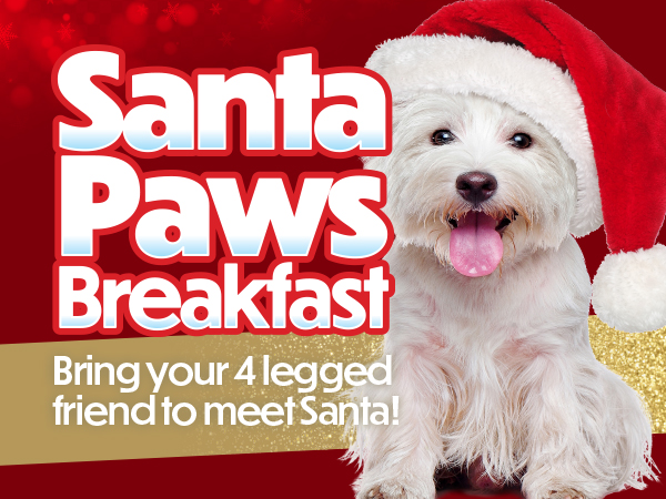 Santa Paws - Stevenage