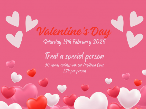 Valentines Day Saturday 14th February 2026
