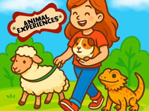 Animal Experiences
