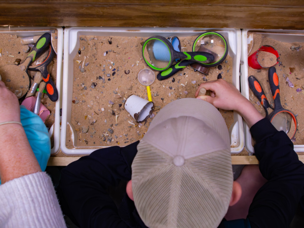 Fossil Dig Event
