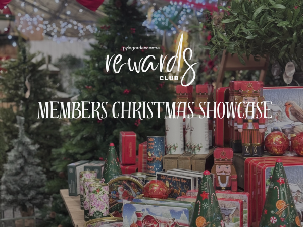 Members Christmas Showcase
