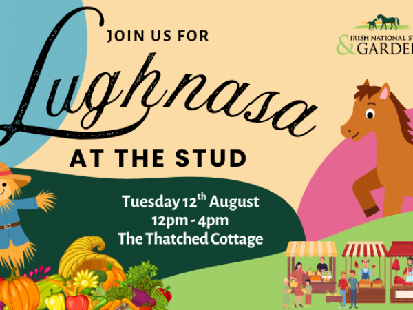 Lughnasa At The Stud (12th August)
