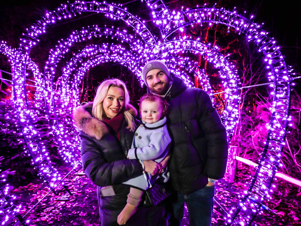 Phase 1 - Open Dated - Tulleys Christmas Light Festival 2026